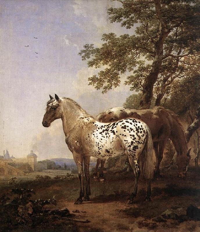 BERCHEM, Nicolaes Landscape with Two Horses China oil painting art